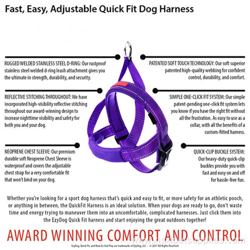 Custom Logo Neoprene and Nylon Dog Harness